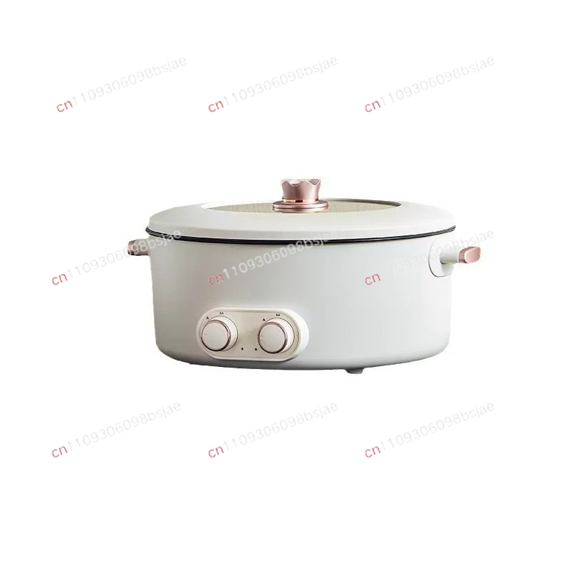 Hot Pot Electric - Dubbele smaak elektrische hotpot met 4